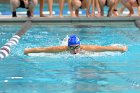 Swimming vs Bentley  Wheaton College Swimming vs Bentley. - Photo By: KEITH NORDSTROM : Wheaton, Swimming, Bentley